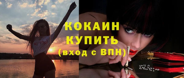 дурь Арсеньев