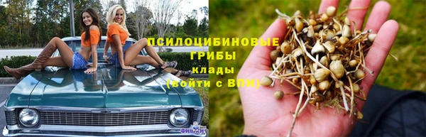дурь Арсеньев