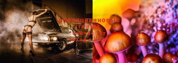 jwh Армянск