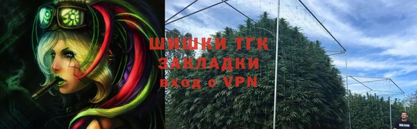 дурь Арсеньев