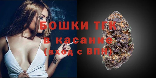 стаф Балахна