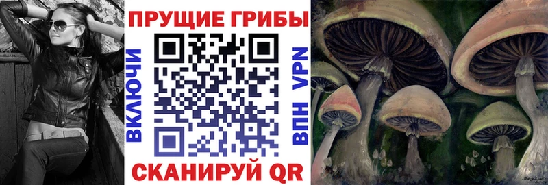 Галлюциногенные грибы Psilocybe  магазин    MEGA сайт  Малгобек 